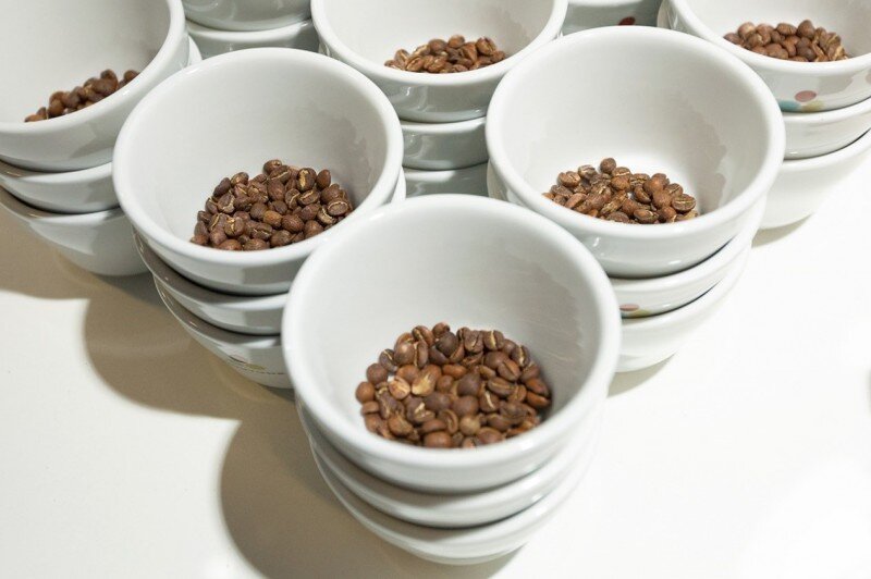 Rejoindre SCA France Tasses Cafe