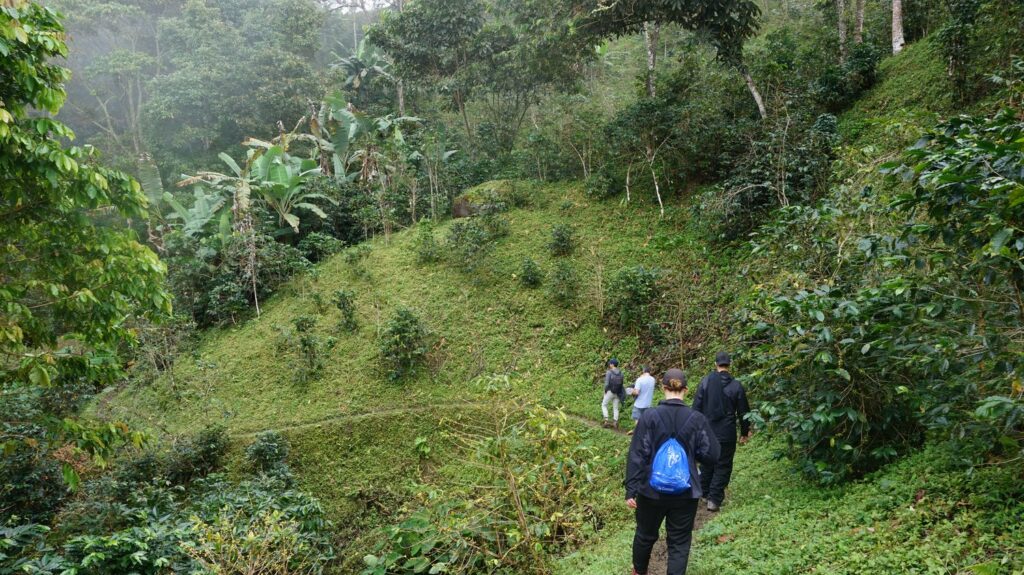 CUPRIMA Sourcing Découverte