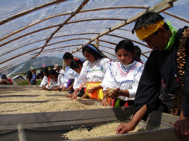 Sourcing avec du café du Perou