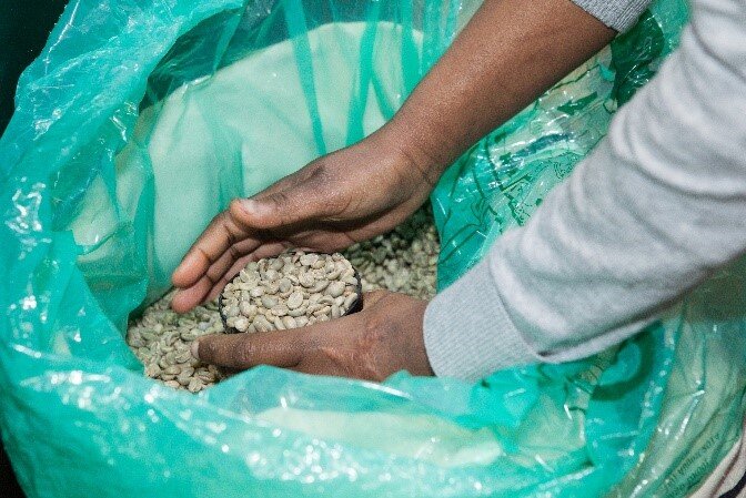 Sourcing du café de specialité