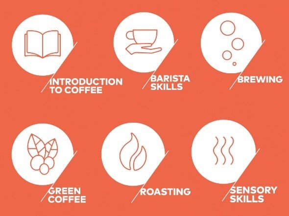 Coffee Skills Program 2018